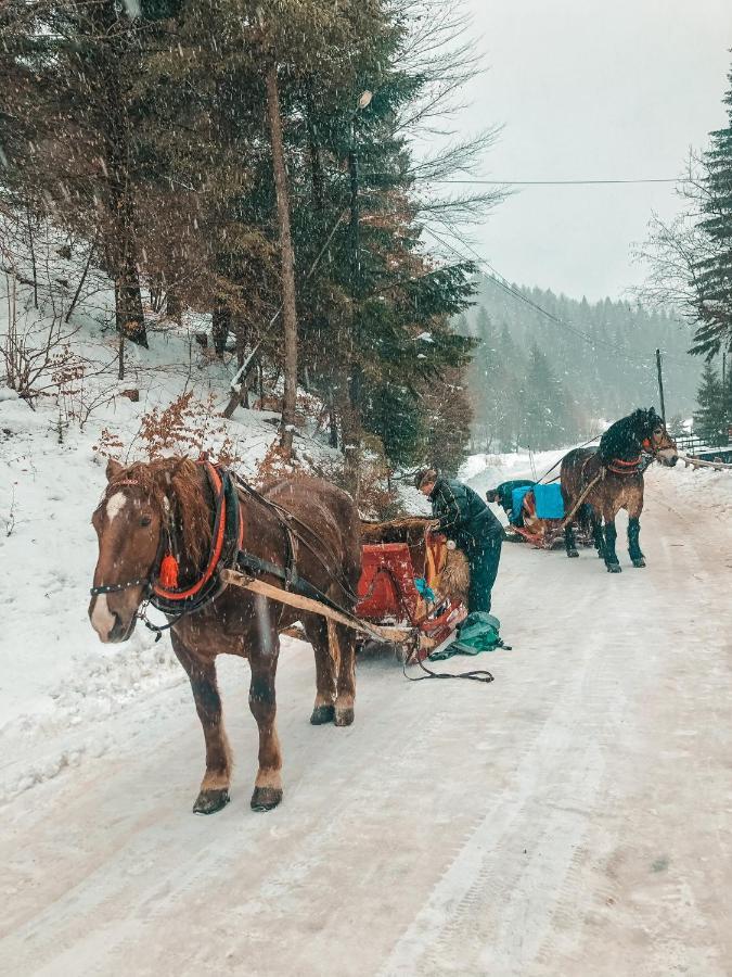 Apartamenty Przy Strumyku Szczawnica Dış mekan fotoğraf